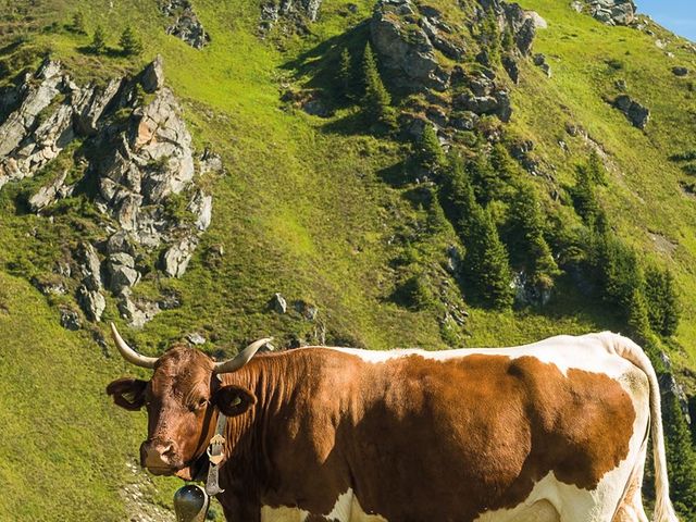 Gruberbauer Remsach